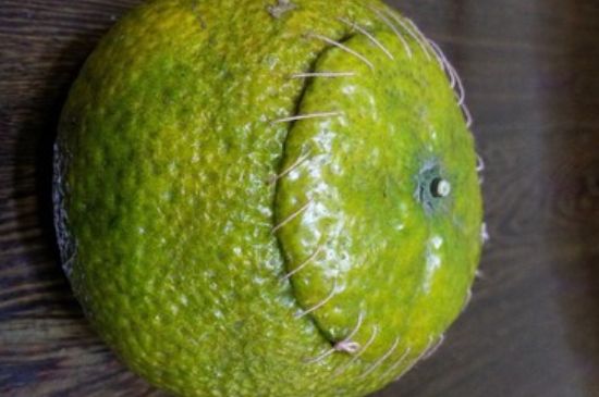 家庭自制柑普茶方法，小青柑制作9個(gè)步驟竅門（圖片）