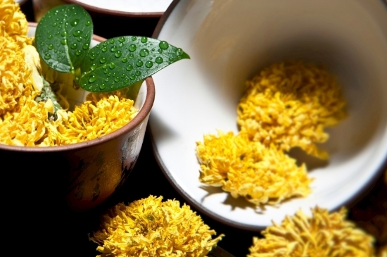 孕婦可以喝菊花茶嗎，菊花對(duì)胎兒有致畸作用？