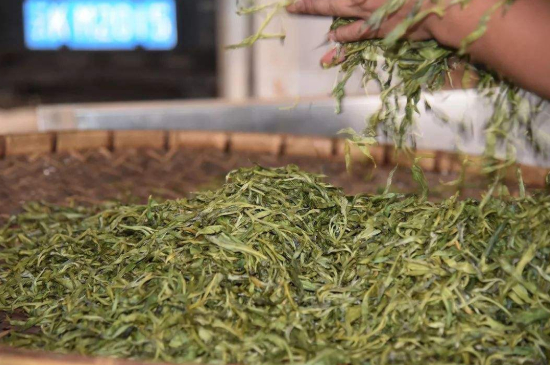 炒青綠茶與綠茶的區(qū)別，烘青和炒青哪個好喝？