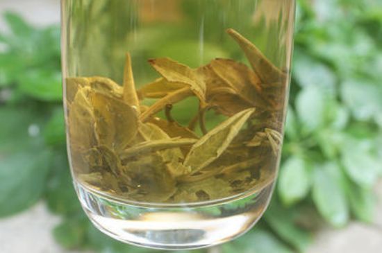 茉莉龍珠泡開(kāi)后為什么都是梗，茉莉龍珠泡開(kāi)后什么樣？