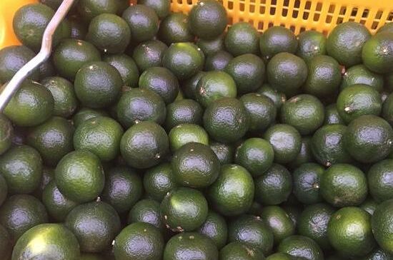 家庭自制柑普茶方法，小青柑制作9個(gè)步驟竅門（圖片）