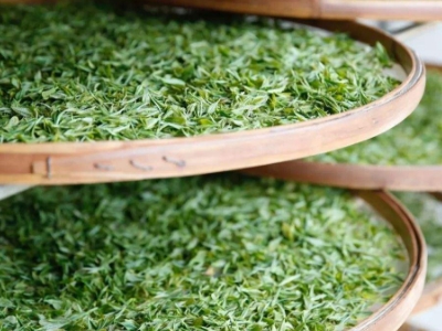 云南八大茶系分別是哪些，都是什么名字