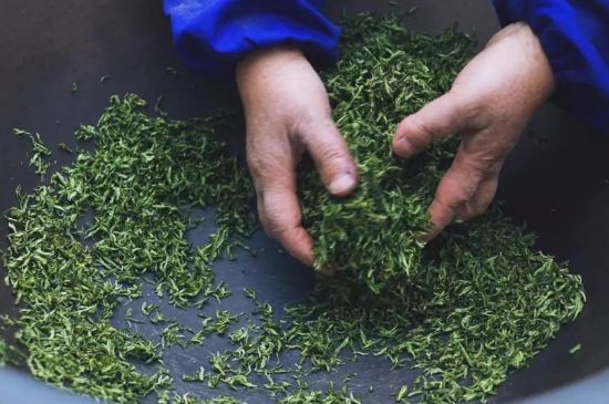 自家炒茶葉怎么炒，自己炒茶葉的步驟