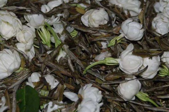 茉莉龍珠怎么做的，茉莉龍珠的制作工藝