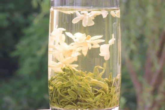 茉莉龍珠可以和什么一起泡茶，茉莉龍珠茶能加蜂蜜嗎？