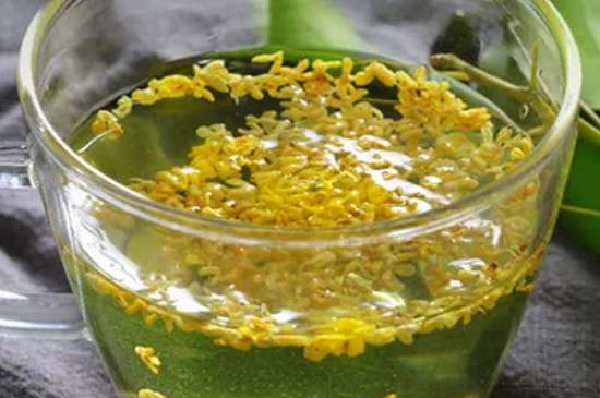 茉莉茶一次泡幾朵，茉莉茶放多少