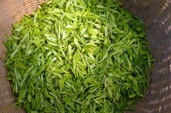 烏牛早和龍井的區(qū)別圖片，龍井43號和烏牛早茶的對比