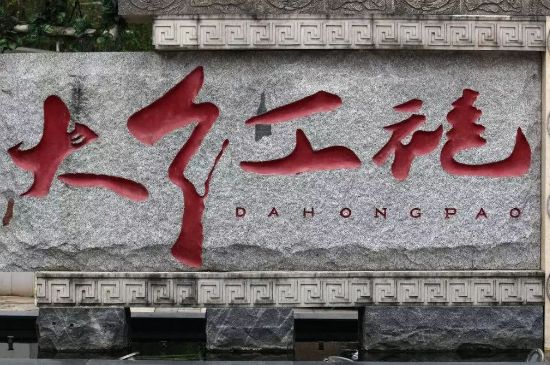 母樹大紅袍給誰喝了，為什么母樹大紅袍叫三棵六株？