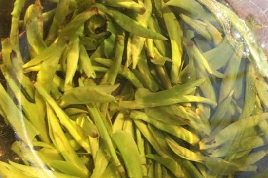 龍井是明前的好還是雨前的好，明前茶和雨前茶哪個好喝？