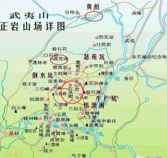 母樹大紅袍給誰喝了，為什么母樹大紅袍叫三棵六株？