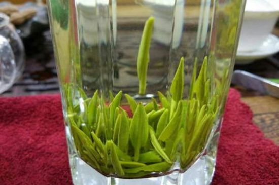 雀舌有一股青草味，雀舌為什么有青草味？