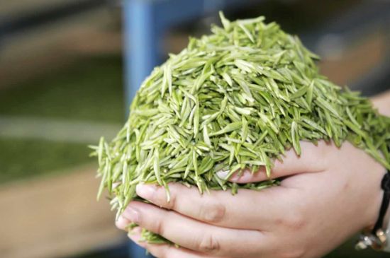 高山云霧茶屬于什么茶，高山云霧茶哪里的最好