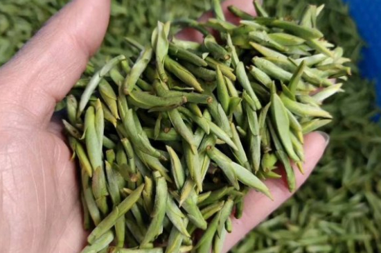 龍井茶好壞的鑒別圖片，如何區(qū)別龍井茶的好壞？