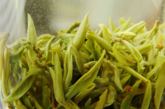 碧螺春為什么泡水渾濁，碧螺春茶葉泡水感覺很臟是混濁的