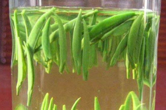 竹葉青和毛尖的區(qū)別，毛尖和竹葉青怎么分辨？