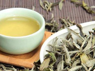 大紅袍好還是白茶好，福鼎白茶和大紅袍哪個貴？