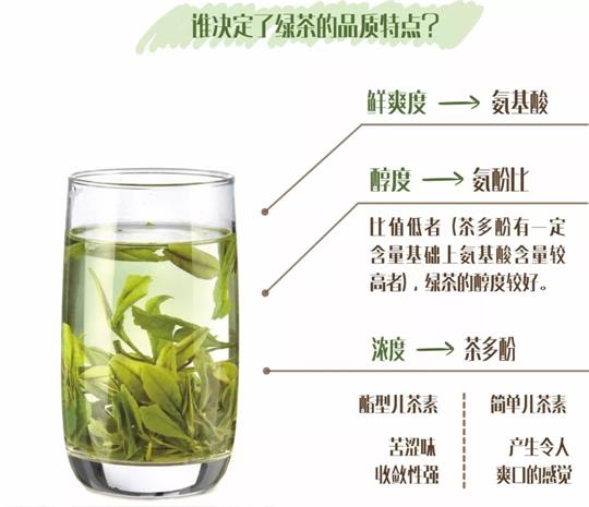 什么綠茶口味重口感濃郁，口味比較重的綠茶都有那些？