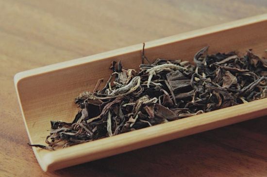 怎么撬老白茶茶餅不容易碎，福鼎白茶如何撬茶方法