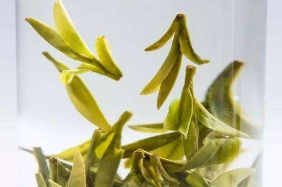 烏牛早和龍井的區(qū)別圖片，龍井43號和烏牛早茶的對比