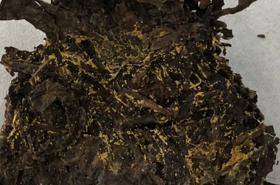 怎么知道涇渭茯茶是否變質(zhì)，茯磚茶金花和發(fā)霉的區(qū)別