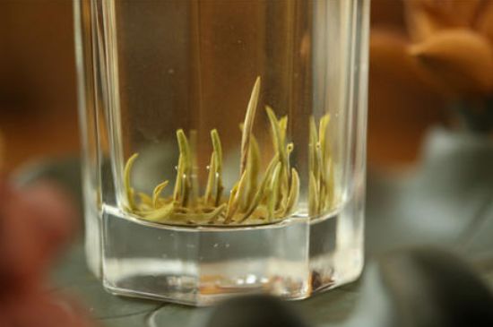 踏雪蘭妃是什么茶，踏雪蘭妃是哪里的茶葉?