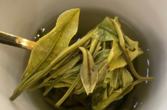 新舊白茶怎么區(qū)分，怎么分辨白茶是新還是舊