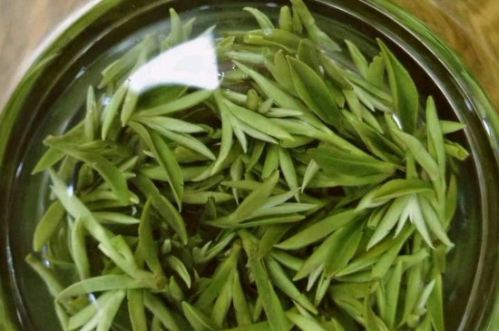 什么綠茶茶葉唇齒留香，哪個品種綠茶香氣好？