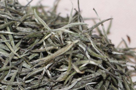 什么人不能喝白茶，白茶不宜什么人喝？