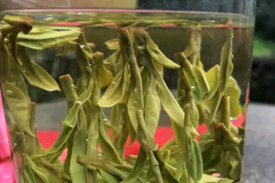 什么綠茶最香最好喝，綠茶口感與香氣排名