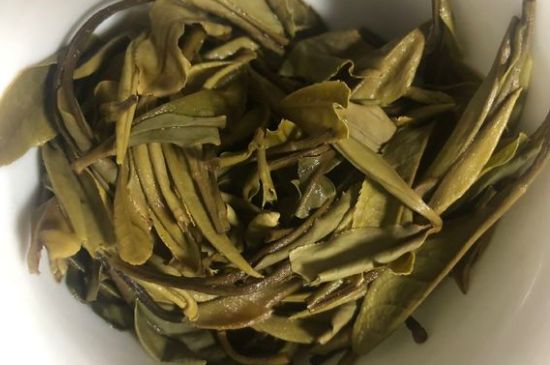 三年白茶賽砒霜，這是真的嗎？