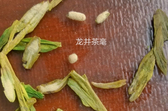 西湖龍井茶毫和發(fā)霉區(qū)別圖片，長霉的龍井茶葉會是什么樣？