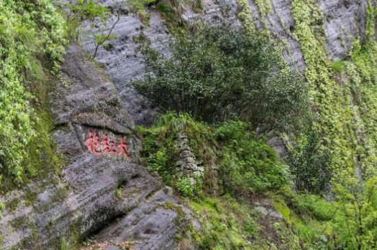 大紅袍為什么沒保質(zhì)期，武夷巖茶大紅袍能放幾年？