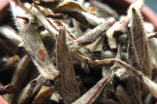 白毫銀針年份越久越好嗎，銀針白毫是否越陳越好