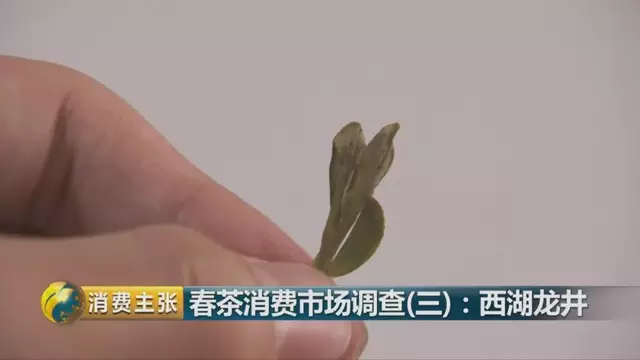 龍井群體種和43號(hào)的區(qū)別圖片，龍井43和群體種哪個(gè)好喝？