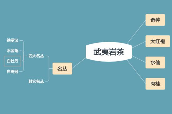 武夷巖茶品種大全，巖茶有幾種？