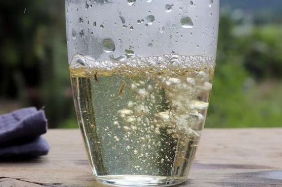 三年白茶賽砒霜，這是真的嗎？