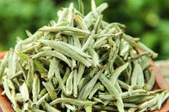 白毫銀針年份越久越好嗎，銀針白毫是否越陳越好