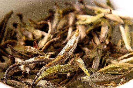 荒野銀針市場價(jià)多少，真正的荒野白毫銀針多少錢？