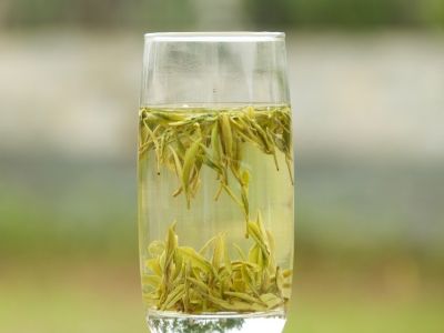 霍山黃芽算是好茶嗎，霍山黃芽屬于什么茶？