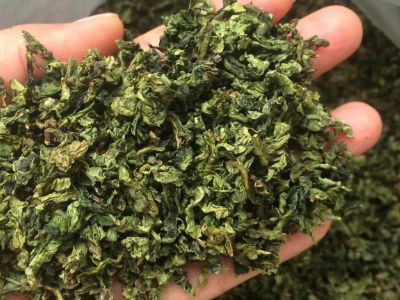 鐵觀音毛茶茶?？梢耘菟葐幔F觀音帶梗是不是好茶？