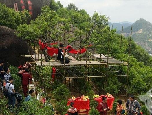 宋種一號價(jià)值為什么高，鳳凰單樅宋種1號價(jià)格與產(chǎn)量多少？