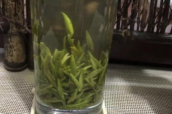 金壇雀舌什么檔次，金壇雀舌算不算好茶？