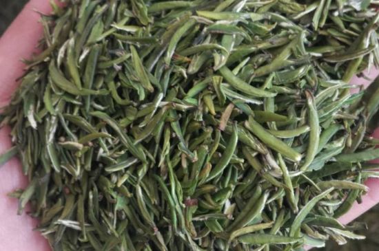 金壇雀舌算不算好茶，金壇雀舌屬于什么檔次茶葉？