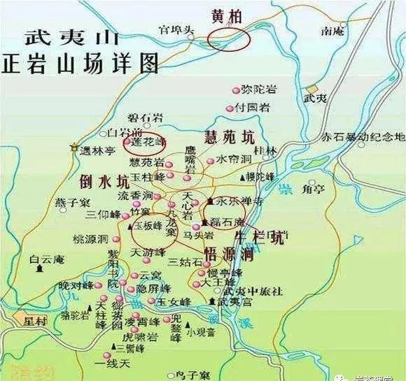 肉桂茶和大紅袍哪個貴，武夷山肉桂與大紅袍的價格比較