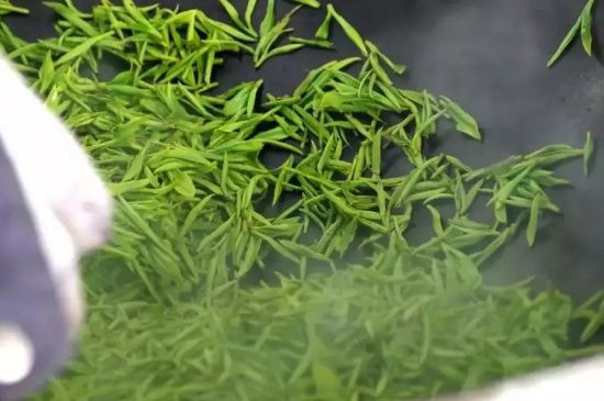 碧螺春為什么泡水渾濁，碧螺春茶葉泡水感覺很臟是混濁的