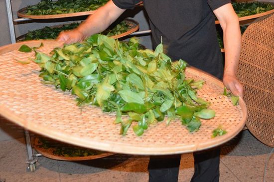 鐵觀音加香精騙局，鐵觀音的香味是添加香精了嗎？