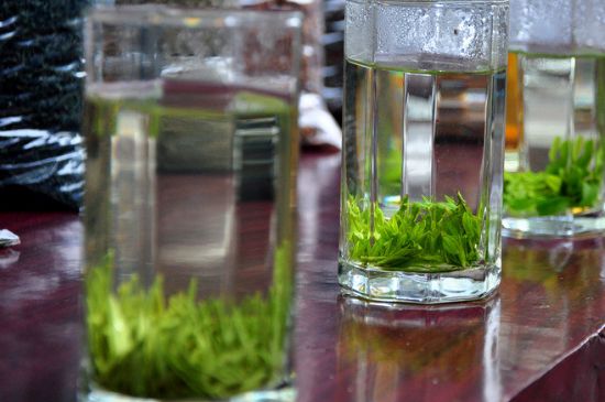 綠茶放了三年還能喝嗎，綠茶放久了喝了會(huì)怎樣