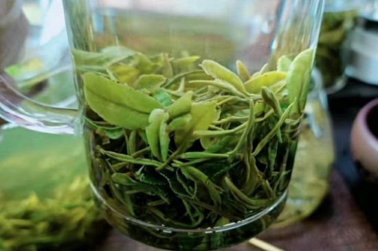 什么綠茶味道濃香，那個(gè)綠茶比較濃香？