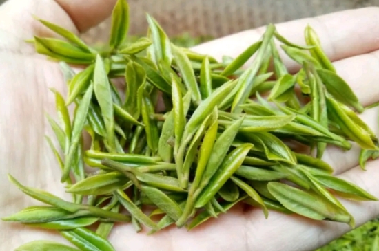 什么是雪前龍井茶，明前、雨前、雨后龍井有什么區(qū)別？