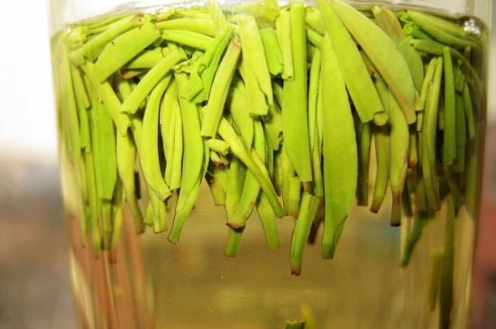 雀舌為何喝著是苦的，雀舌味道怎么那么苦澀？